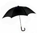 Click to view components of umbrella